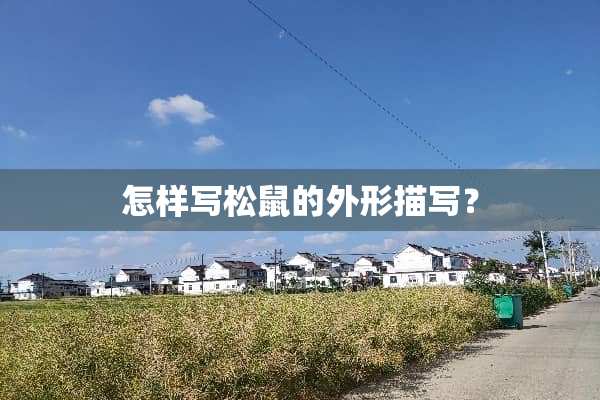怎样写松鼠的外形描写？
