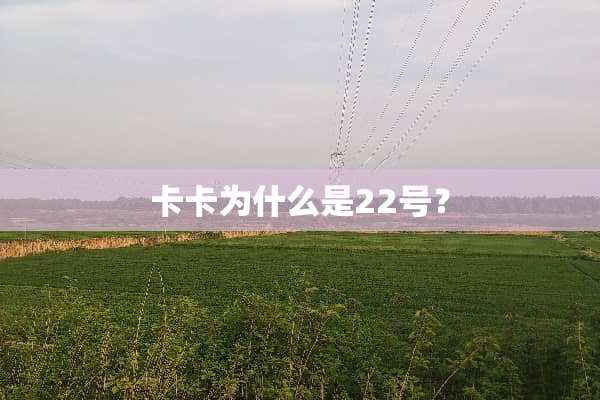 卡卡为什么是22号？