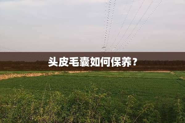 头皮毛囊如何保养？