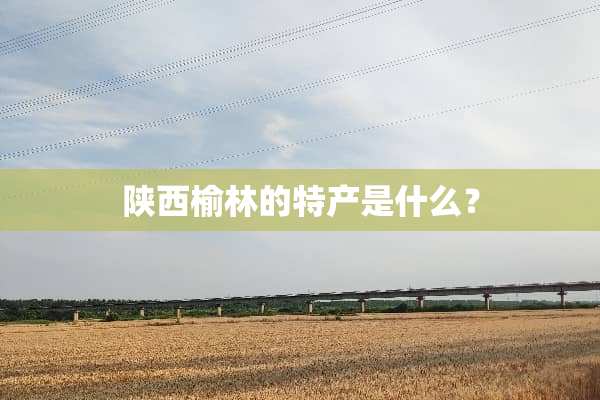 陕西榆林的特产是什么？