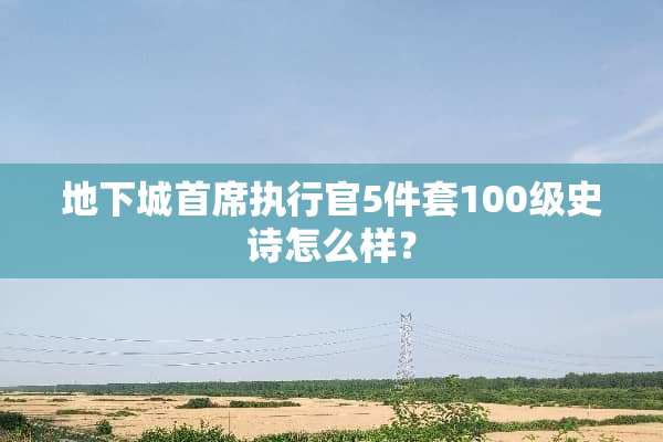 **城首席执行官5件套100级史诗怎么样？