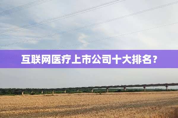 互联网医疗上市公司十大排名？