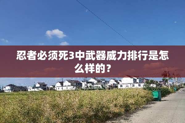 忍者必须死3中**威力排行是怎么样的？