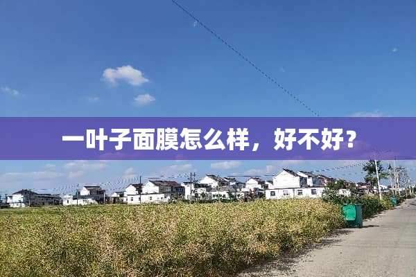 一叶子面膜怎么样，好不好？
