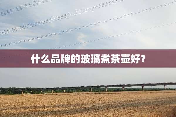 什么品牌的玻璃煮茶壶好？