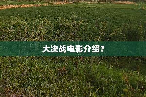 大决战电影介绍？