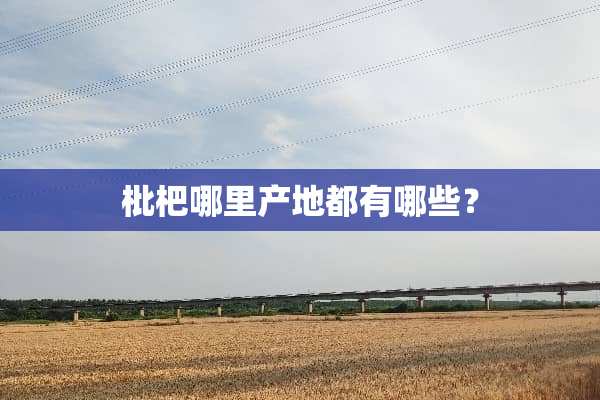 枇杷哪里产地都有哪些？