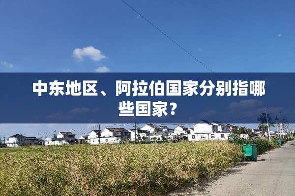 中东地区、阿拉伯国家分别指哪些国家？
