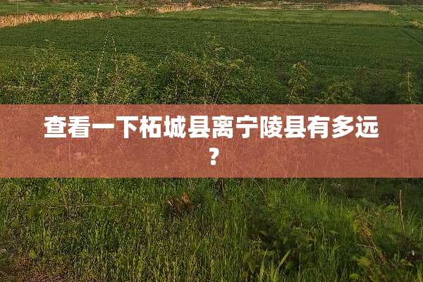 查看一下柘城县离宁陵县有多远？