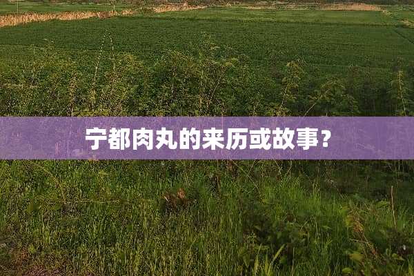 宁都肉丸的来历或故事？