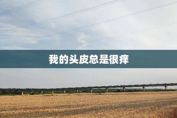 我的头皮总是很痒