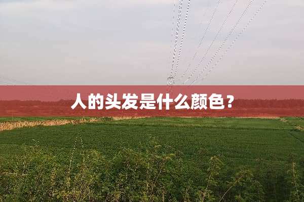 人的头发是什么颜色？