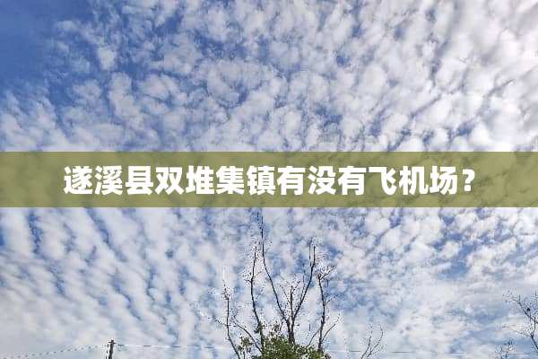遂溪县双堆集镇有没有飞机场？