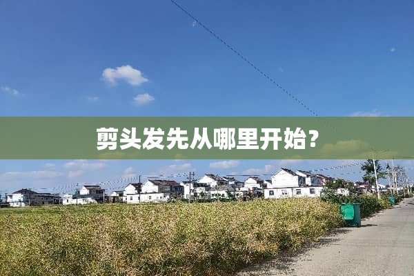 剪头发先从哪里开始？