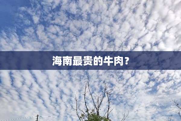 海南最贵的牛肉？