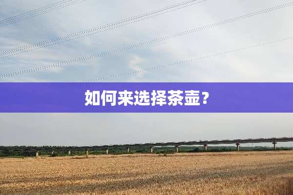 如何来选择茶壶？
