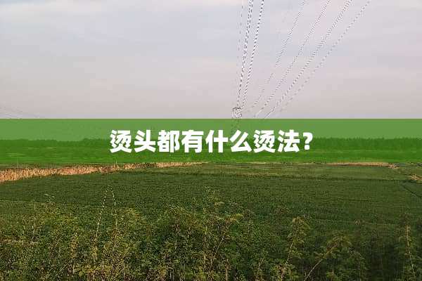 烫头都有什么烫法？
