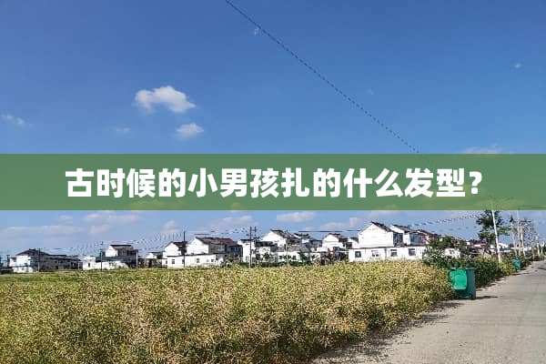 古时候的小男孩扎的什么发型？