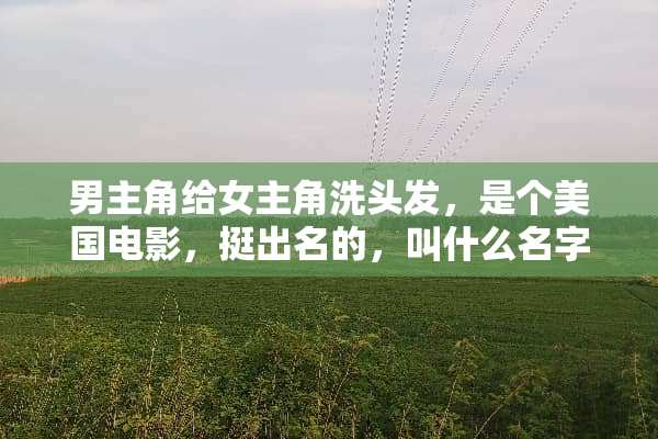 男主角给女主角洗头发，是个美国电影，挺出名的，叫什么名字？