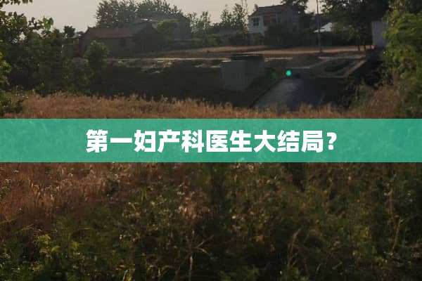 第一妇产科医生大结局？