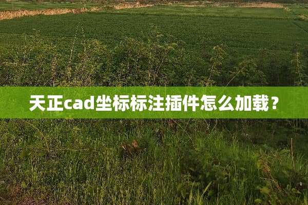 天正cad坐标标注插件怎么加载？