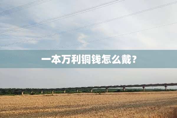 一本万利铜钱怎么戴？