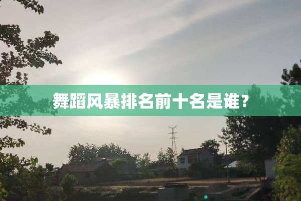 舞蹈风暴排名前十名是谁？