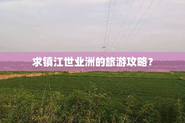 求镇江世业洲的旅游攻略？