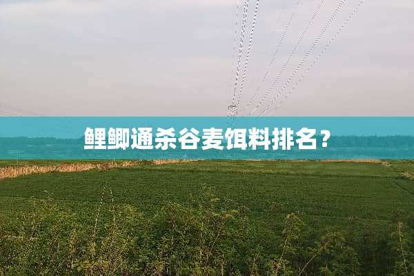 鲤鲫通杀谷麦饵料排名？
