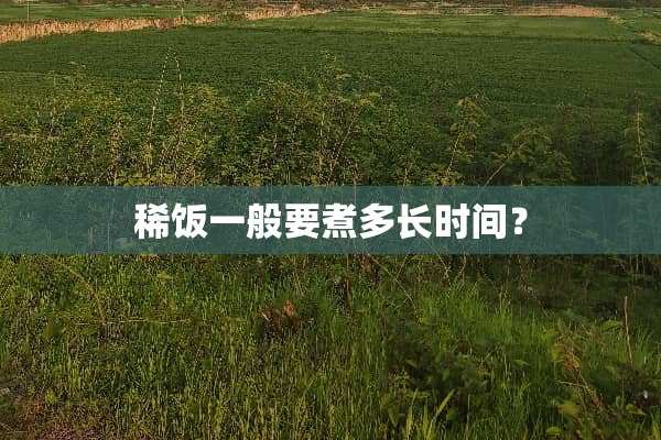稀饭一般要煮多长时间？