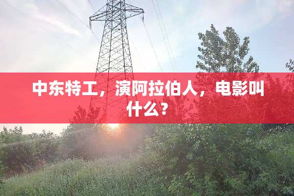 中东特工，演阿拉伯人，电影叫什么？