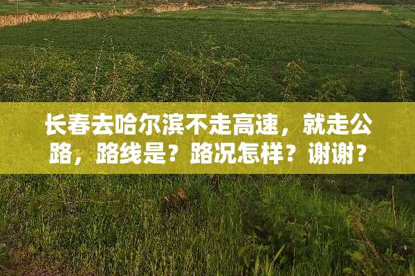 长春去哈尔滨不走高速，就走公路，路线是？路况怎样？谢谢？