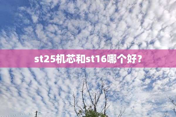 st25机芯和st16哪个好？