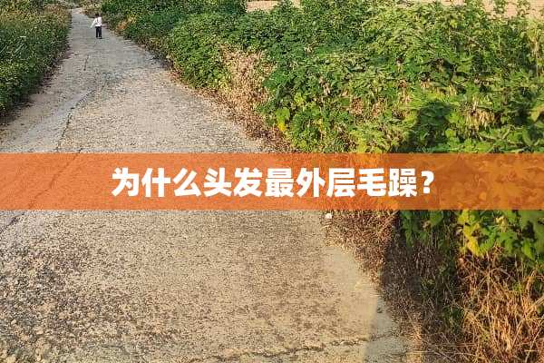 为什么头发最外层毛躁？