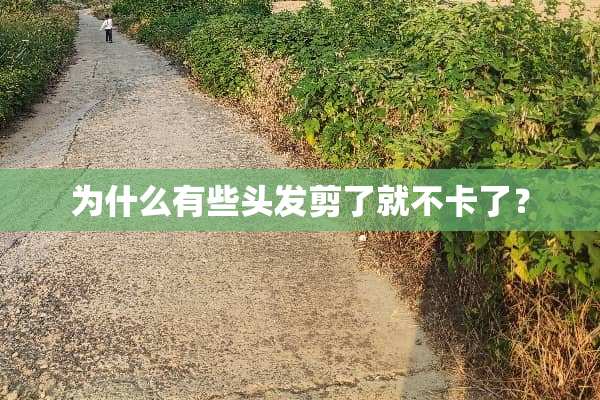 为什么有些头发剪了就不卡了？
