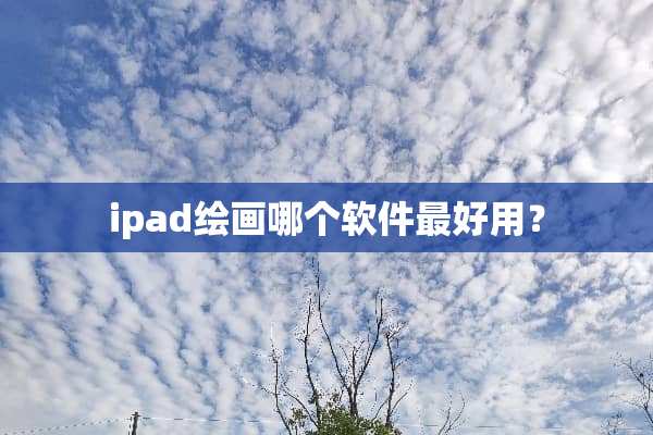 ipad绘画哪个软件最好用？