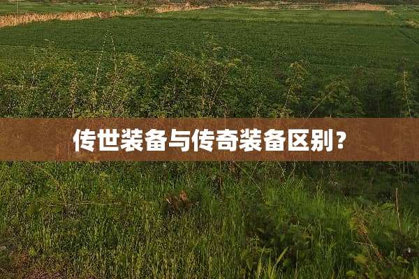 传世装备与传奇装备区别？