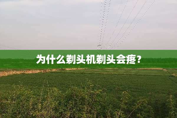 为什么剃头机剃头会疼？