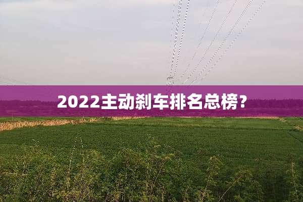 2022主动刹车排名总榜？