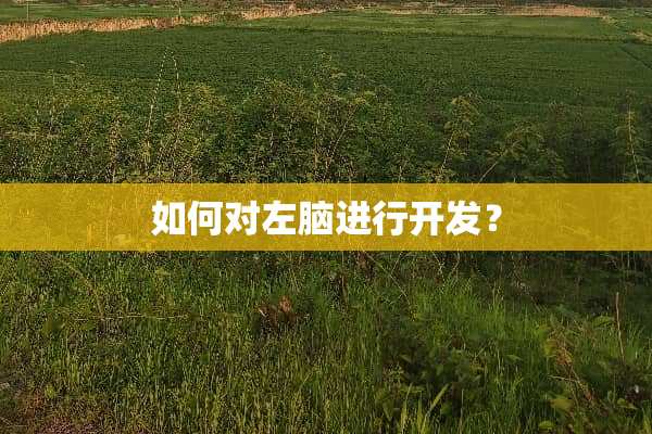 如何对左脑进行开发？