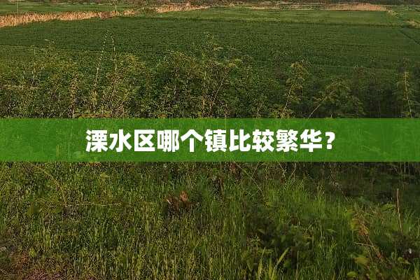 溧水区哪个镇比较繁华？