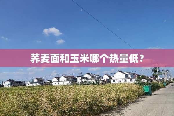 荞麦面和玉米哪个热量低？