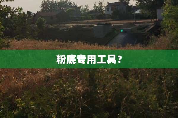 粉底专用工具？