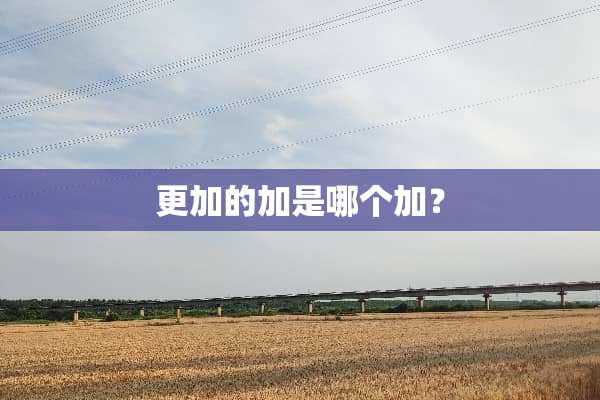 更加的加是哪个加？