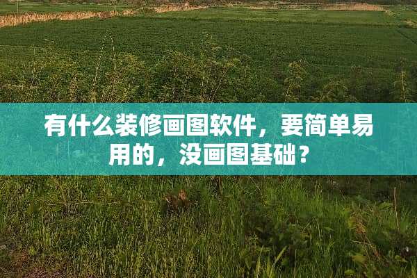 有什么装修画图软件，要简单易用的，没画图基础？