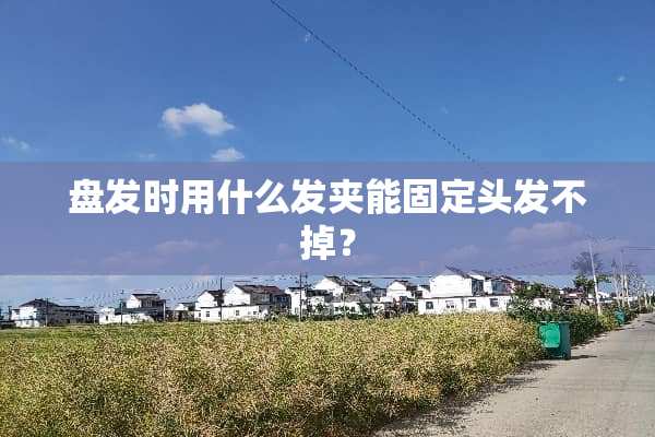 盘发时用什么发夹能固定头发不掉？