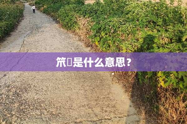 笊籬是什么意思？