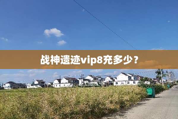 战神遗迹vip8充多少？