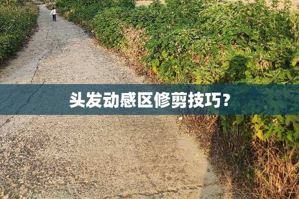 头发动感区修剪技巧？