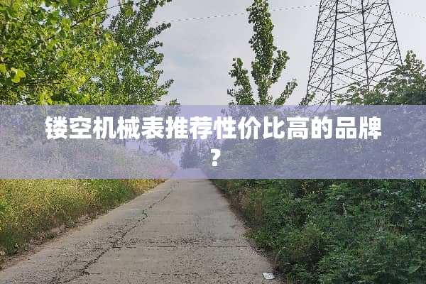 镂空机械表推荐性价比高的品牌？